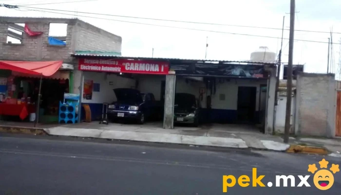 Servicio Electrico Automotriz Carmona I Precios - San Buenaventura