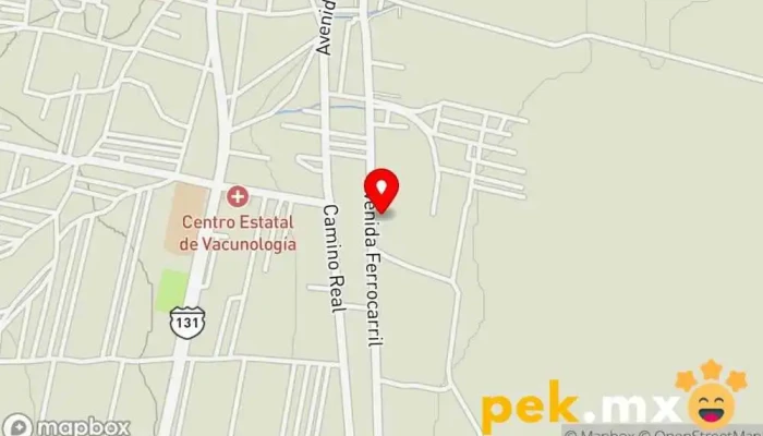 mapa de Servicio Electrico Automotriz El Coyote Servicio de reparación de sistemas eléctricos para automóviles en Mexico