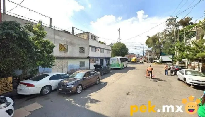 Servicio Eléctrico Automotriz El Jarocho - Naucalpan De Juárez