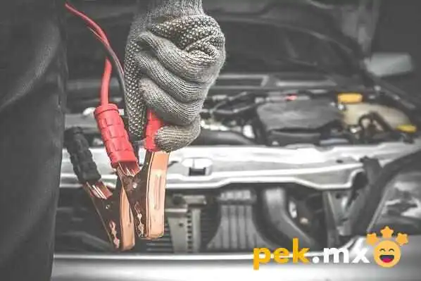Servicio Electrico Automotriz El Panda Del Propietario - Chalco de Díaz Covarrubias