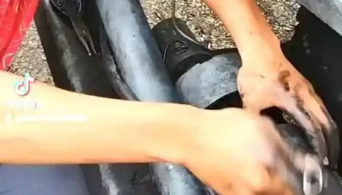 Servicio Electrico Automotriz Estrada Videos - Tultitlán de Mariano Escobedo