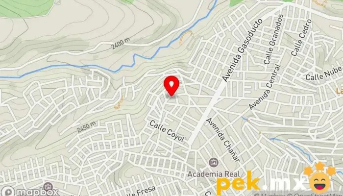 mapa de Servicio Eléctrico Automotriz Las Huertas Taller de reparación de automóviles en Naucalpan de Juárez