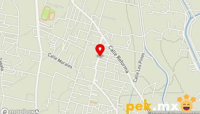 mapa de Servicio Eléctrico Automotríz 