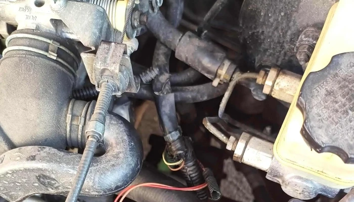 Servicio Electrico Automotriz Los Coques -  Fotos - Ecatepec de Morelos