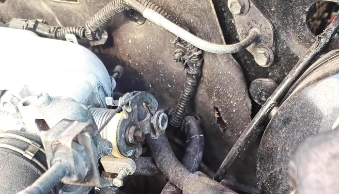 Servicio Electrico Automotriz Los Coques -  Numero - Ecatepec de Morelos