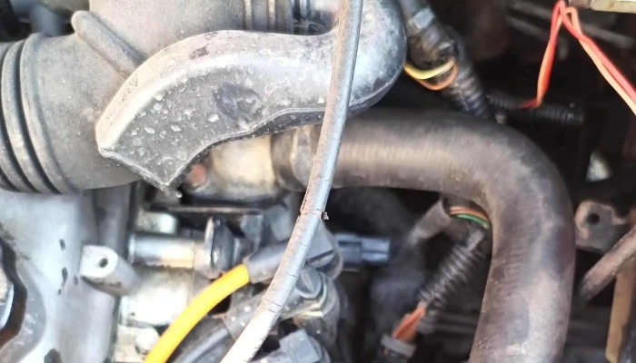Servicio Electrico Automotriz Los Coques -  Promocion - Ecatepec de Morelos
