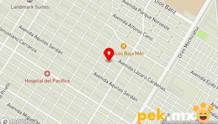 Servicio Eléctrico Automotriz Lupaino - Los Mochis