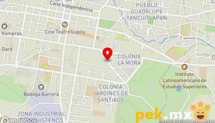mapa de Servicio Eléctrico Automotriz Servicio de reparación de sistemas eléctricos para automóviles en Santiago Tianguistenco de Galeana