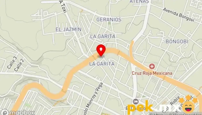 mapa de Servicio Electrico Automotriz Nachito Taller de reparación de automóviles en Atlacomulco de Fabela