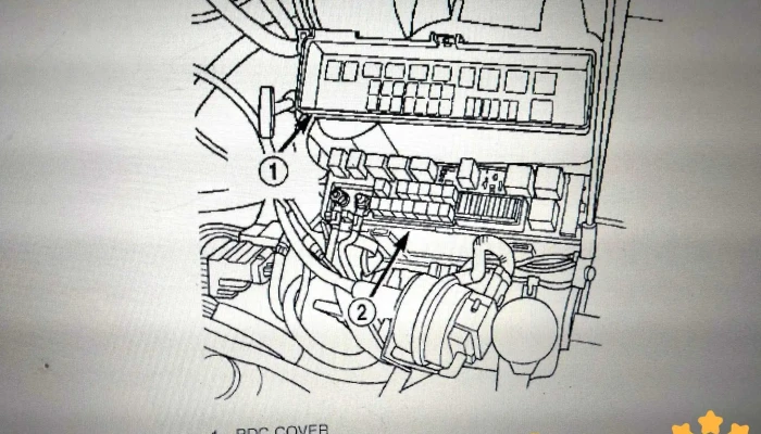 Servicio Electrico Automotriz Nacho Del Propietario - Santo Domingo Tehuantepec