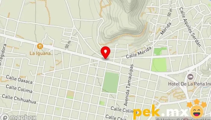 mapa de Servicio Eléctrico Automotriz 