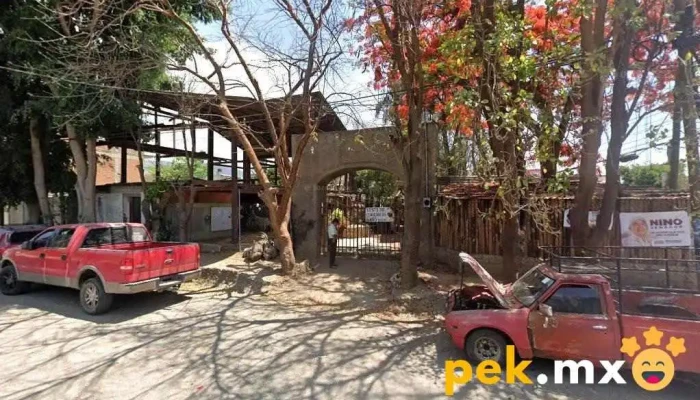 servicio eléctrico automotriz nelson - San Antonio De La Cal
