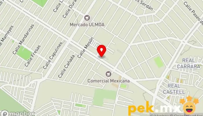 mapa de Servicio Eléctrico Automotriz Ortiz Taller de reparación de automóviles en Ojo de Agua