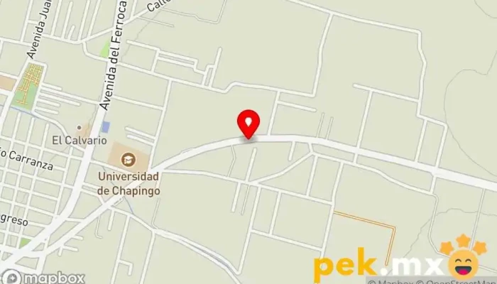 mapa de SERVICIO eléctrico automotriz 