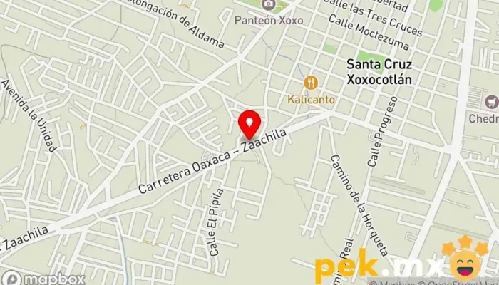mapa de SERVICIO ELECTRICO AUTOMOTRIZ SANTIAGO Taller de reparación de automóviles en Santa Cruz Xoxocotlán