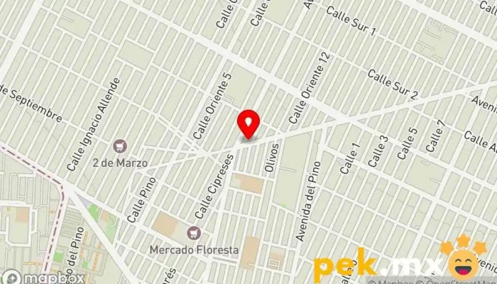 mapa de Servicio Eléctrico En General 
