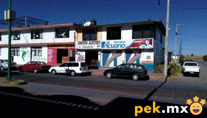 Servicio Electrico Garduño - San Felipe Del Progreso