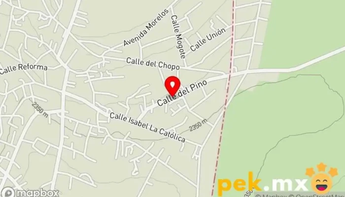 mapa de Servicio Electrico Hernandez Taller de automóviles en Santa María Ajoloapan