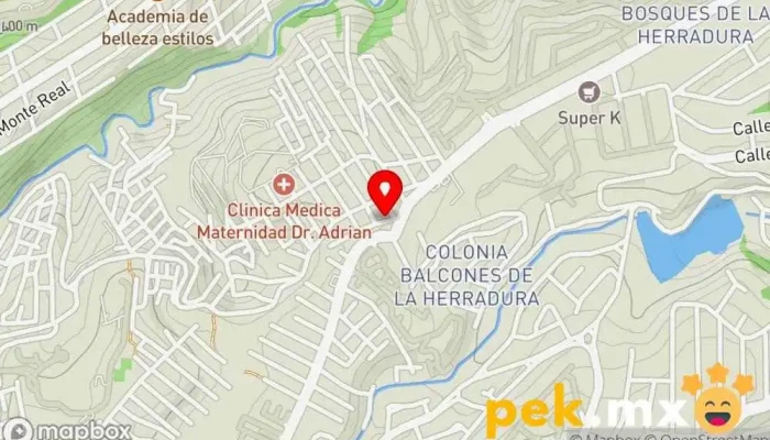 mapa de Servicio Eléctrico Interlomas Taller de reparación de automóviles en Naucalpan de Juárez