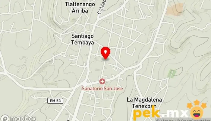 mapa de Servicio Electrico Javier Taller de reparación de automóviles en Temoaya