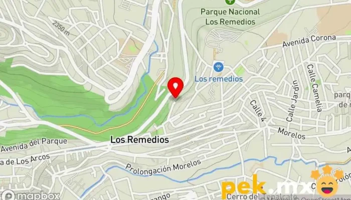mapa de Servicio eléctrico JR. Taller de reparación de automóviles en Naucalpan de Juárez