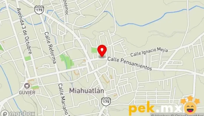 mapa de SERVICIO ELECTRICO NOEL Taller de reparación de automóviles en Miahuatlán de Porfirio Díaz