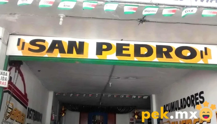 Servicio Electrico San Pedro -  Exterior - Texcoco de Mora