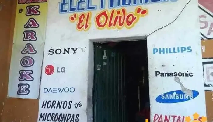 Servicio Electronico El Olivo Exterior - Tequixquiac
