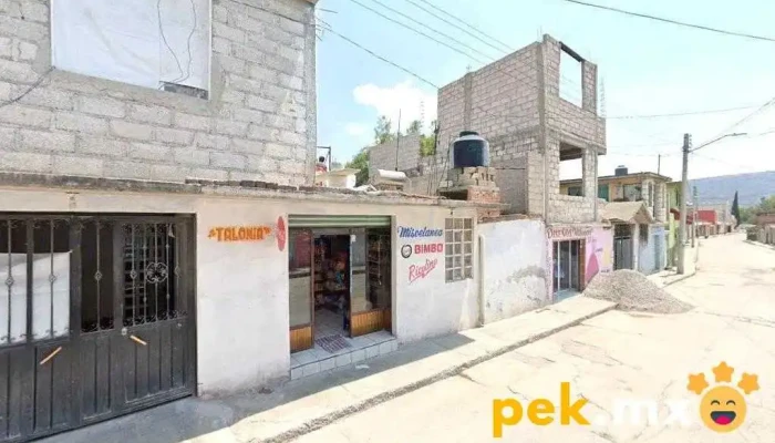 Servicio Electrónico "el Olivo" - Tequixquiac