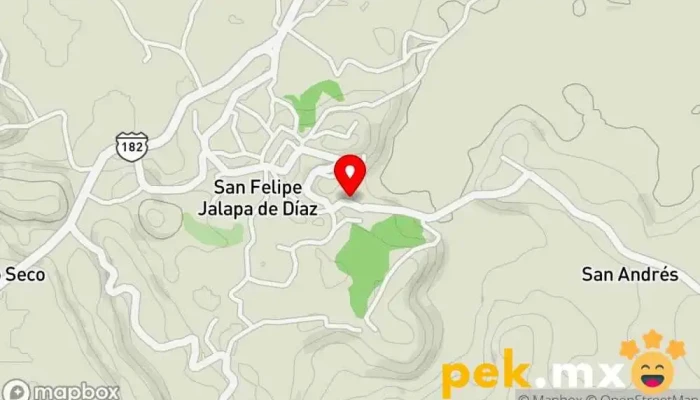 Servicio electrónico - San Felipe Jalapa De Díaz