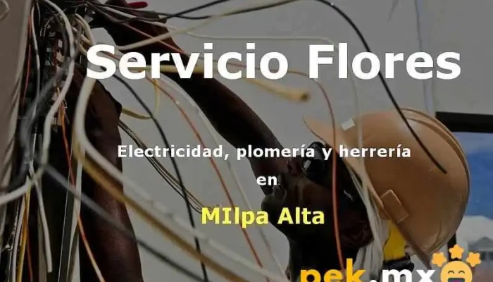Servicio Flores Electricidad Plomeria Y Herreria En Milpa Alta Del Propietario - Milpa Alta, Villa Milpa Alta