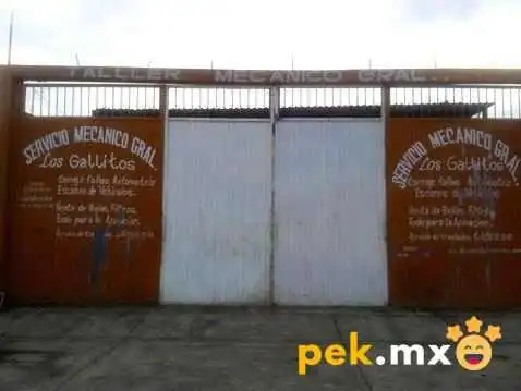 Servicio Mecanico Los Gallitos Sitio Web - Cosamaloapan