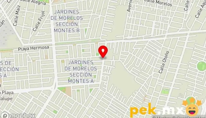 mapa de Servicio plomeria, electricidad, impermeabilizacion, etc. Constructor en Ecatepec de Morelos