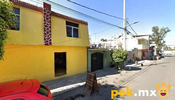 Servicio Quiroz - Cuautitlán Izcalli
