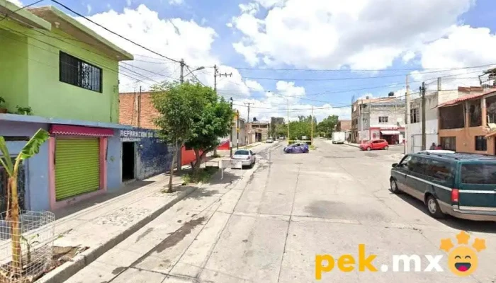 Servicio Tecnico De Construccion En Aguascalientes - Refugio Esparza Reyes