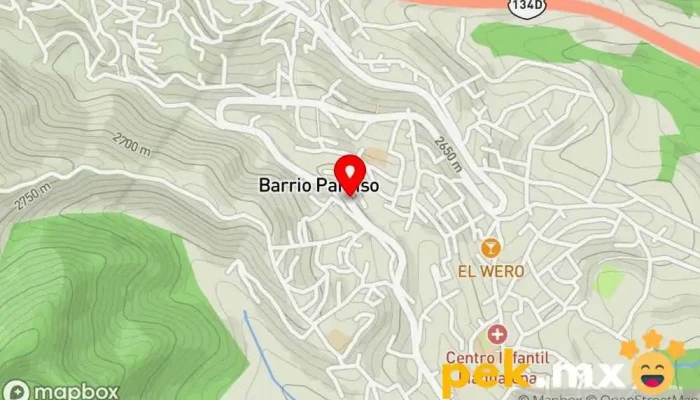 mapa de SERVICIO VÁZQUEZ (Mecánica y eléctrica automotriz) Taller mecánico en Magdalena Chichicaspa