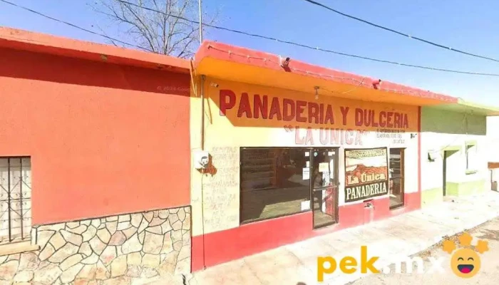 Servicios de Agua y Drenaje Bustamante - N.l