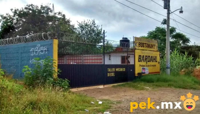 Servicios de Electronicos y Mecanica e Ingenieria - San Jacinto Amilpas