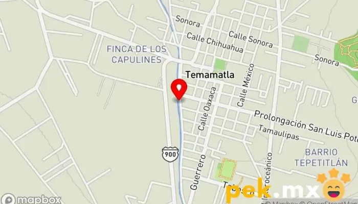 mapa de Servicios de Energía Ingeniero eléctrico en Temamatla