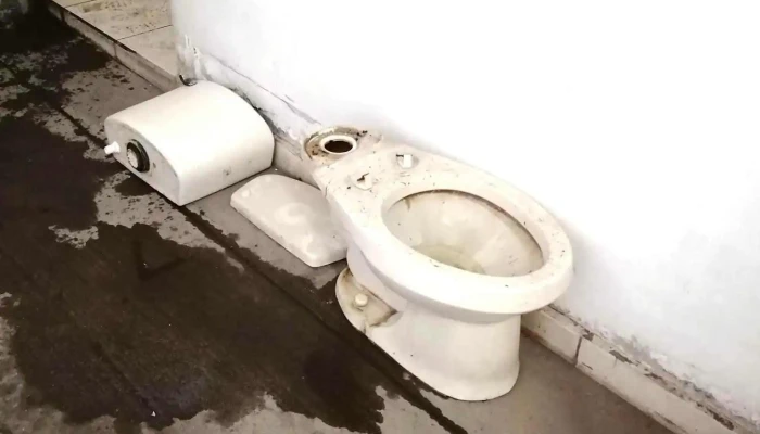 Servicios Electricos E Hidraulicos De Culiacan -  Interior - Culiacán Rosales