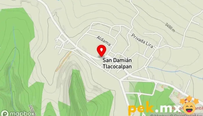 mapa de Servicios eléctricos Electricista en San Damián Tlacocalpan