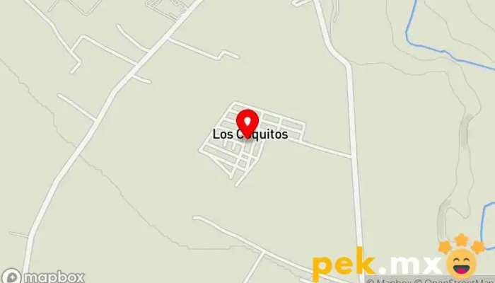 Servicios Electromecánicos Lieva - Tapachula De Córdova Y Ordóñez