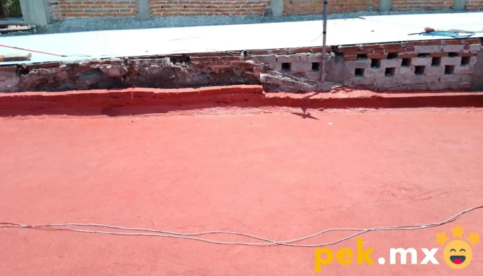 Servicios Generales De Mantenimiento -  Interior - Cdad. Guzmán