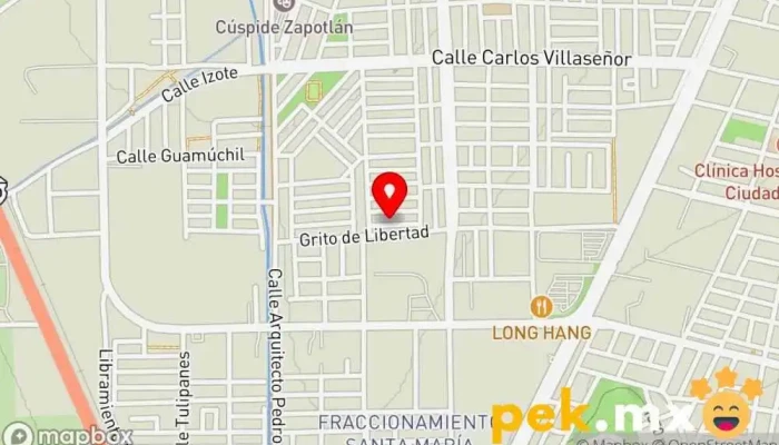 mapa de Servicios Generales De Mantenimiento Electricista en Cdad. Guzmán