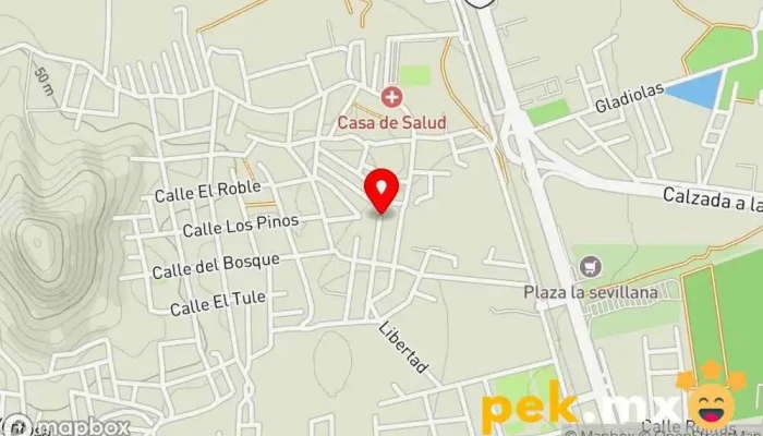 mapa de Servicios Generales Vientos Del Sureste Taller de reparaciones eléctricas, Albañil, Electricista, Servicio de impermeabilización, Taller de metalurgia, Pintura, Fontanero, Servicio de reparación de neveras, Soldador en Salina Cruz
