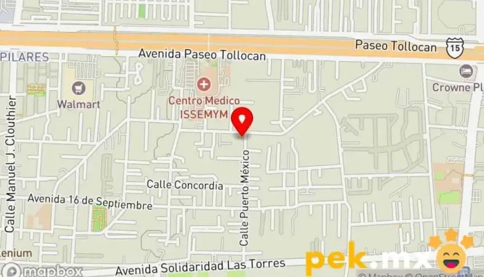 mapa de SERVICIOS HERMANOS MARTINEZ Electricista en San Jerónimo Chicahualco