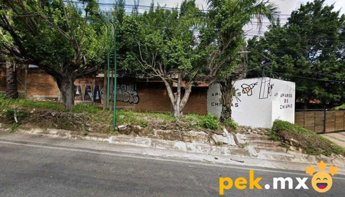 Servicios Profesionales En Mantenimiento A Inmuebles - Tuxtla Gutiérrez