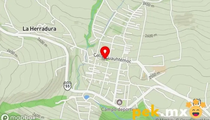 mapa de Servicios Técnicos y Decoraciones Electricista en San Pedro Zictepec
