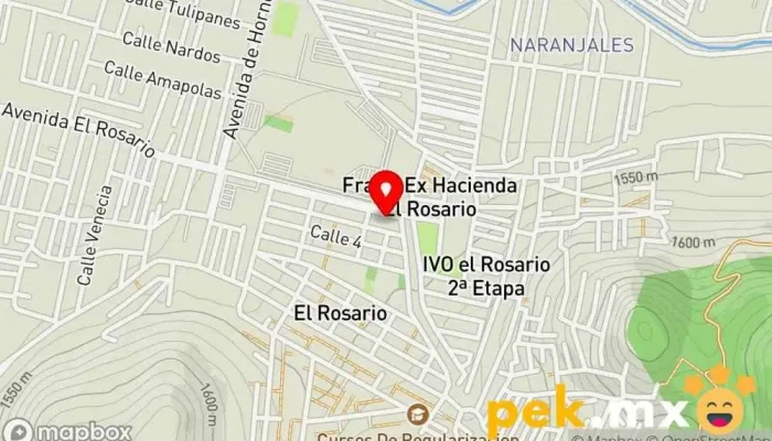 mapa de Servicios y Refacciones Cernas Servicio de reparación de sistemas eléctricos para automóviles en Tutla