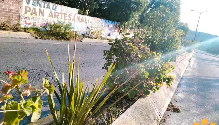 Sistema Municipal Dif Villa De Hueypoxtla C P 55670 Numero - Hueypoxtla